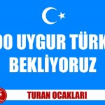 10928863_385351594977203_6547565844584366080_n