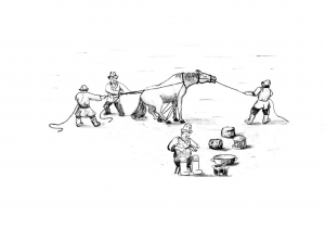 Kırgız Konar Göçerlerinde Kasaplık Geleneği: At Kesme Âdeti