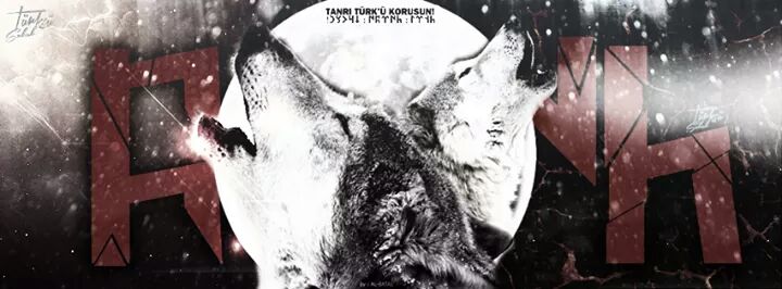 göktürkçe türk ve kurt 1